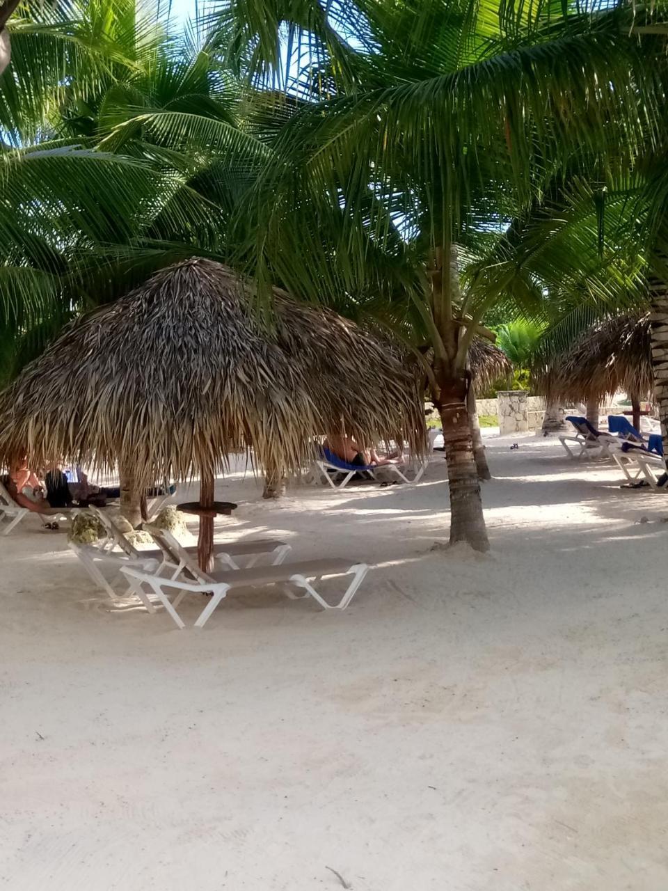 Apartamentos Y Habitaciones Sol Dominicus Solo Adultos La Laguna Kültér fotó